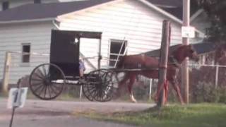 Amish Country: Mt. Hope, Ohio