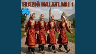 Canlı Halay Elazığ Dik Halayı