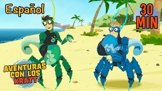Cangrejos De Vacaciones Animales De La Playa Aventuras Con Los Kratt 9 Story Kids En Español