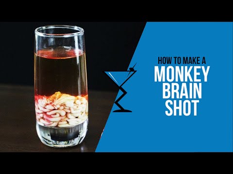 monkey brains pc game free