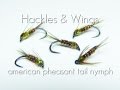 Fly Tying American Pheasant Tail Nymph | Hackles & Wings Fly Tying American Pheasant Tail Nymph | Hackles & Wings
