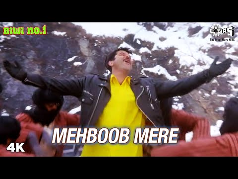 Mehboob Mere Sadke Jawaan - Biwi No...