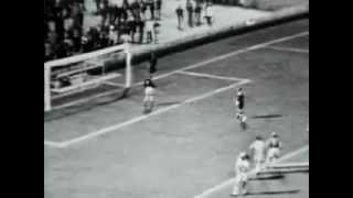 hNJJubp1xik Video Image