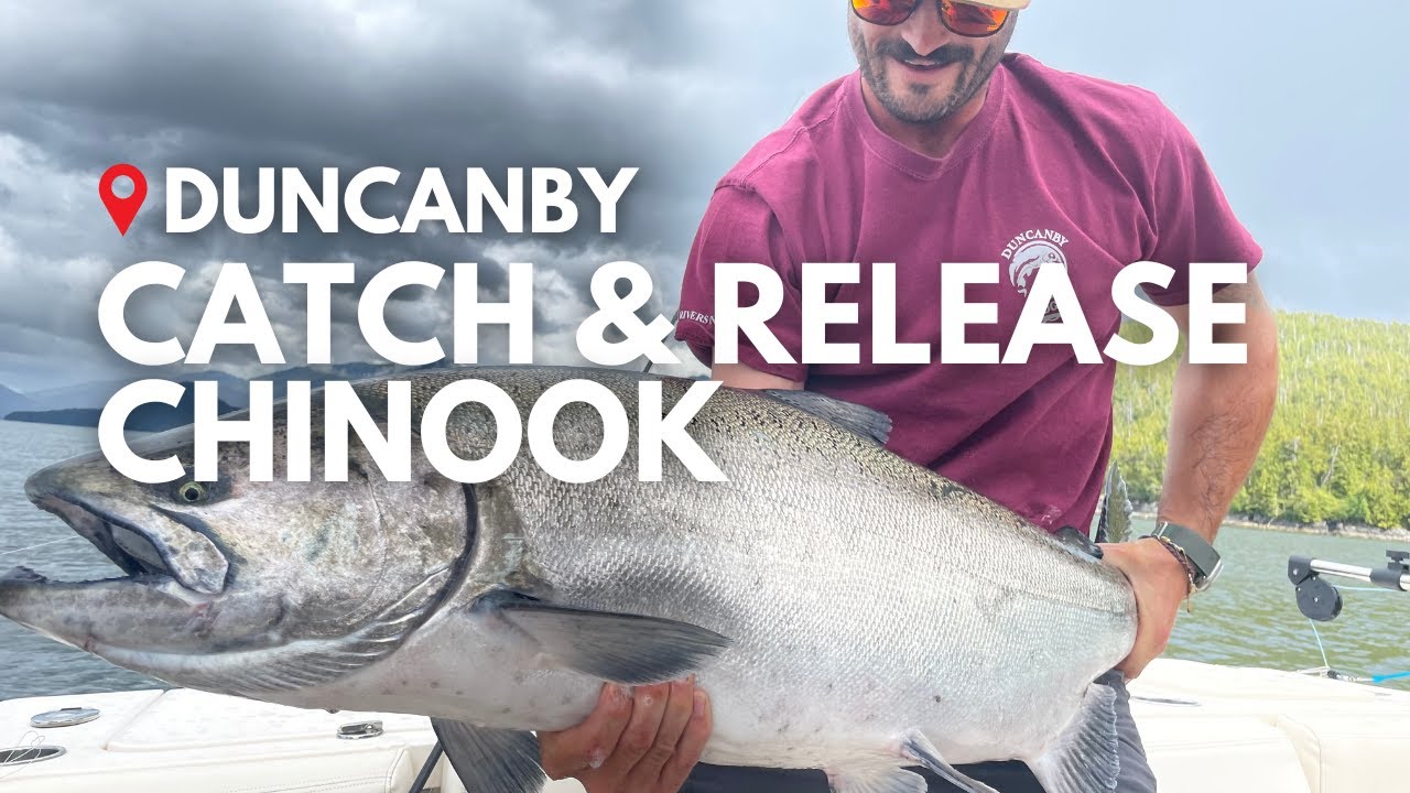 Duncanby Chinook Salmon