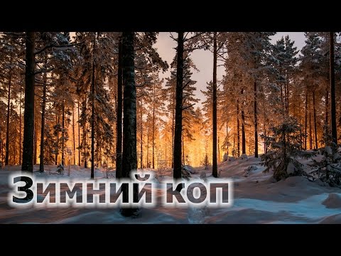 Поиск монет в зимнем лесу \ Зимний Коп Поиск монет в зимнем лесу \ Зимний Коп