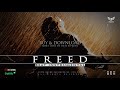 Epic Inspiring Orchestral HIPHOP INSTRUMENTAL RAP BEAT - Freed (beatsbyNeVs Collab)