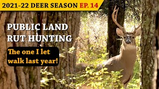 TN Muzzleloader Season Buck - Cruising the Doe Beds!