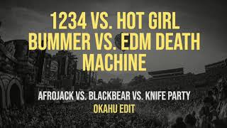 1234 Vs. Hot Girl Bummer Vs. Edm Death Machine