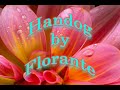 Handog by Florante With Lyrics