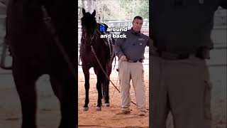 Mastering The Lunge Whip Unleash The Popping Sound