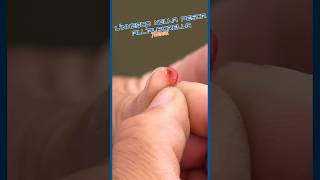 𝗧𝗨𝗧𝗢𝗥𝗜𝗔𝗟 𝗔𝗟𝗕𝗢𝗥𝗘𝗟𝗟𝗔 - 𝗟𝗜𝗡𝗡𝗘𝗦𝗖𝗢