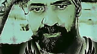 Persian Bigo Avent Top-10 Family Rejali.ir Family