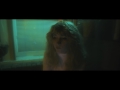 Dog Video preview