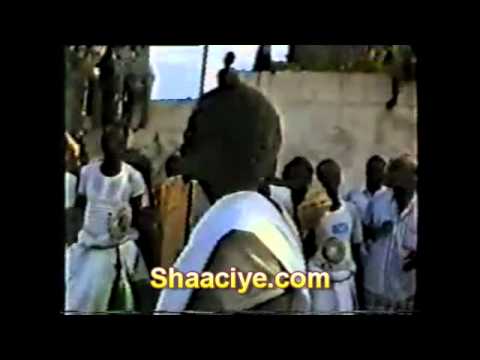 Watch Shirib ay ka dhex muuqdaan Laashimiinta Abgaal Imsaan