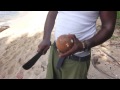 Andy Man Manzanillo Adventure
