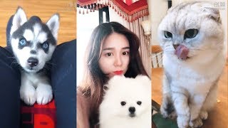 Cute Dogs and Cats | Funny Cats and Dogs Videos Compilation #13 | Cute Is Not Enough