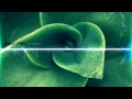 Netsky Netsky 2010 Endless Search Netsky Netsky 2010 Endless Search