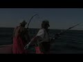 Part 1 - One Big Tuna Fish, One Day East Of Chatham Oct. 6th 2009 - On The Lori B.mp4