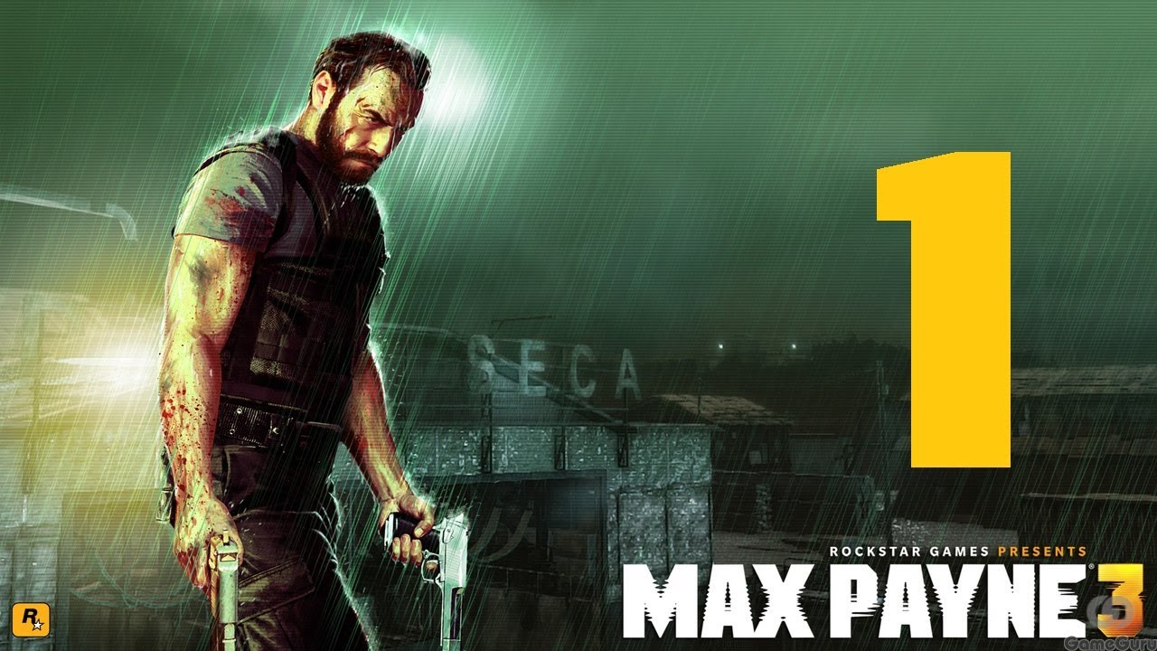  max payne 3