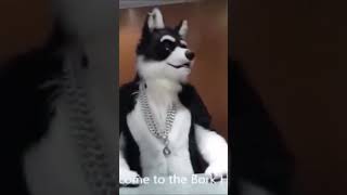 Anti Furry Meme