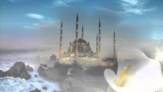 Kalamlar Hz Ali