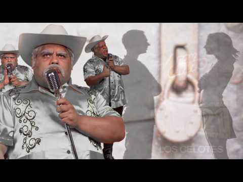 Los Celotes Video