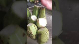 य कस बनत ह दख Vlogs Aunty