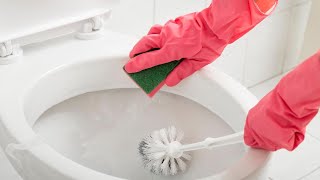There's Actually an Easy Way to Clean A Gross Toilet Brush