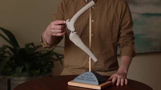 Tplo Demonstration