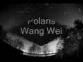 Fly Me to Polaris - Wang Wei
