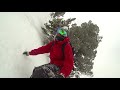 jackson hole