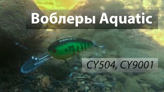 Воблеры Aquatic CY504 и CY9001 из России. Miura X2.