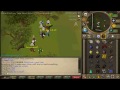 torva pking