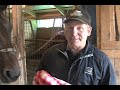 Tips of the Trade - Tying up first aid-- USTA harness racing Hoof Beats standardbred