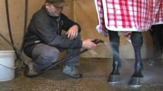 Tips of the Trade - Tying up first aid-- USTA harness racing Hoof Beats standardbred