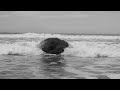 Mark Johnson-Daydream
