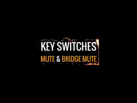 Keyswitches. Mute & Bridge Mute