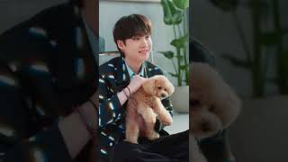 Bts With Their Pets , Comment Whose Pet Do You Like