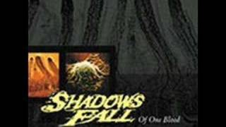 Watch Shadows Fall Montauk video