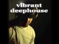 Various Artists - Vibrant Deephouse (DJ Danny White House Mixset)
