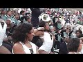 2013 Prancing J Settes Alcorn Game Hoe Check images 2013 Prancing J Settes Alcorn Game Hoe Check