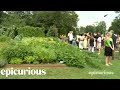 Epicurious @ the White House: The Kitchen Garden Tour Led by Sam Kass