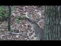 Archery Season 2010 Bow Hunting Pennsylvania 5 images Archery Season 2010 Bow Hunting Pennsylvania 5