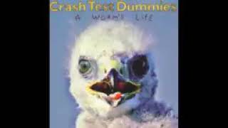 Watch Crash Test Dummies Swatting Files video