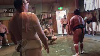 A morning SUMO Training Session in Tokyo