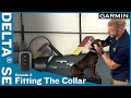 Ep. 2 Fitting the Collar – Delta® SE handheld & dog collar