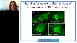 Stephanie Willerth - Engineering reproducible neural tissue from pluripotent stem cells