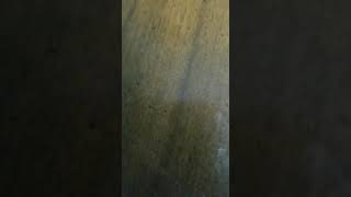 Hear Piano Note B1