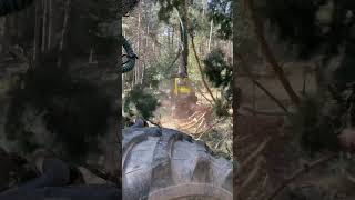 Harvester 1270G #Bosque #Love #Tree #Montains #Wood #Johndeere #Machine #Viral