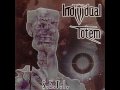 Individual Totem - Implicate Order